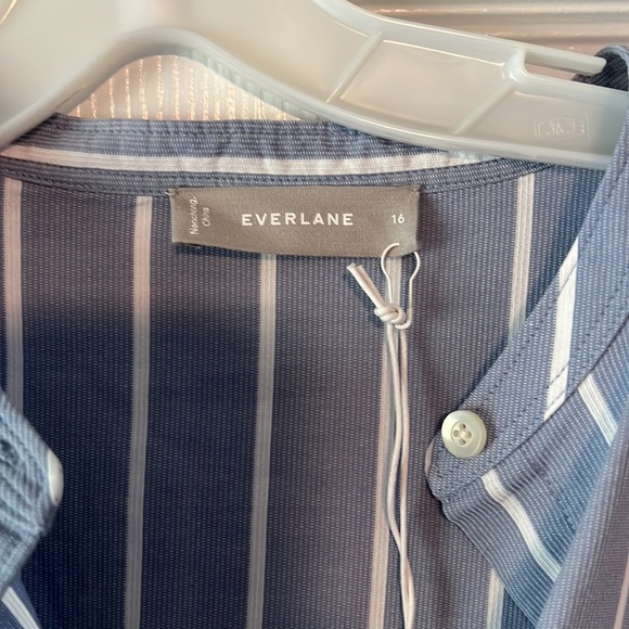 Everlane Blue Striped Shirt Dress - Picture 4 of 7